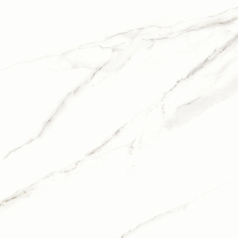 2195fc553edbbe006683c80bf8b06b1e